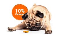 -10% на зоотовары акция в Перми компании Инженер выгодно